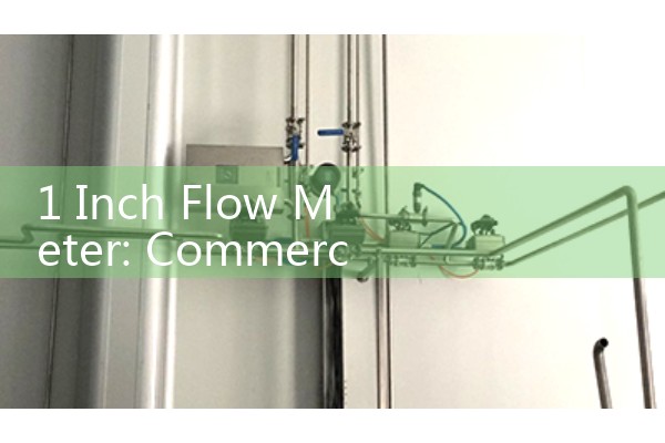 1 Inch Flow Meter: Commercial Stainless Steel and Brass Inline Options